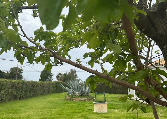 Odysseas 3* Kalo Nero